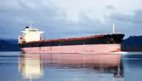 CM1036 PANAMAX BULK CARRIER 75000 DWT/2000 JAPAN BUILT FOR SALE