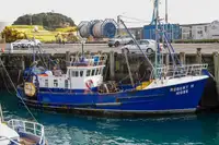 TRAWLER LONG LINER COMMERCIAL FISHING